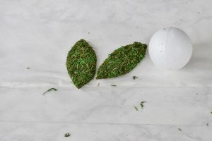 trace and cut moss