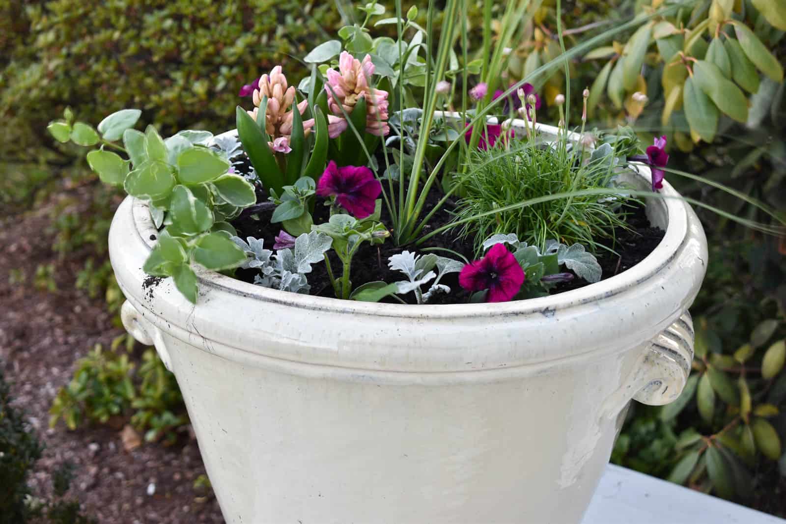 updating our front planters