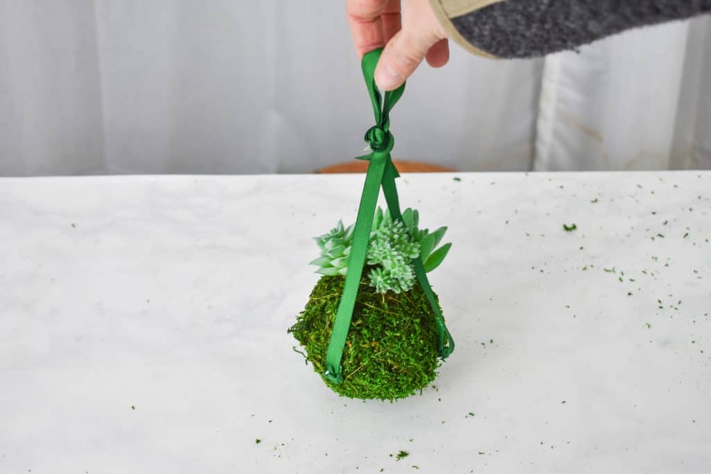 attach ribbon to moss ball