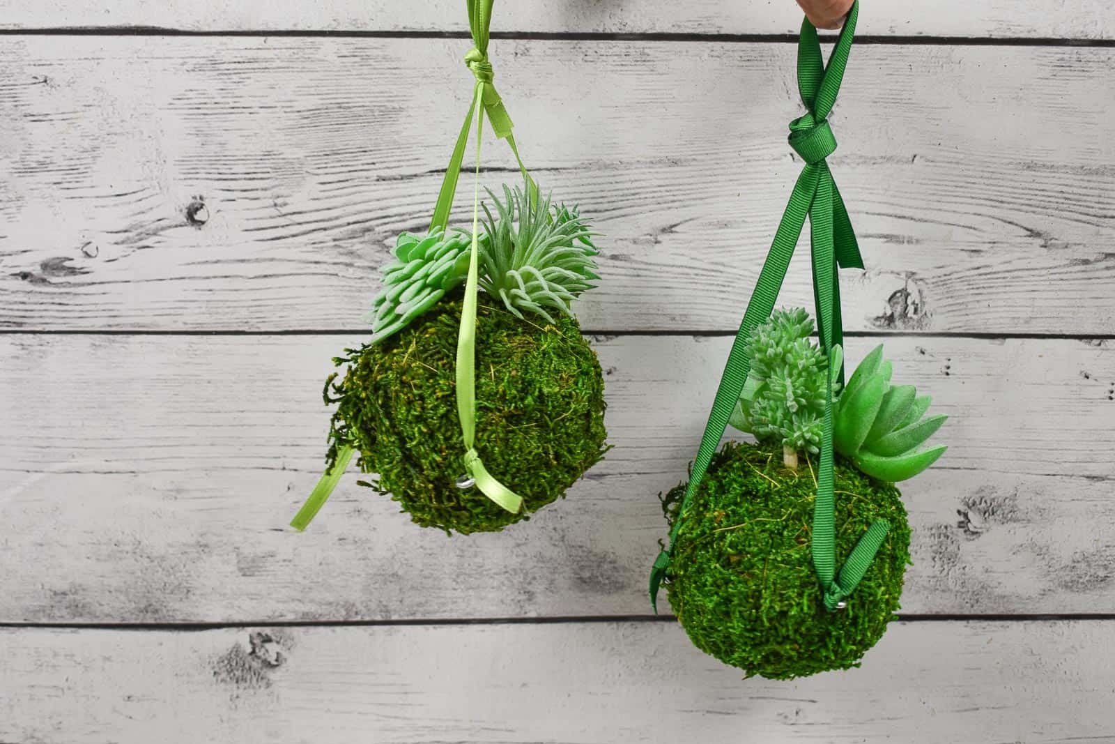 moss ball ornaments