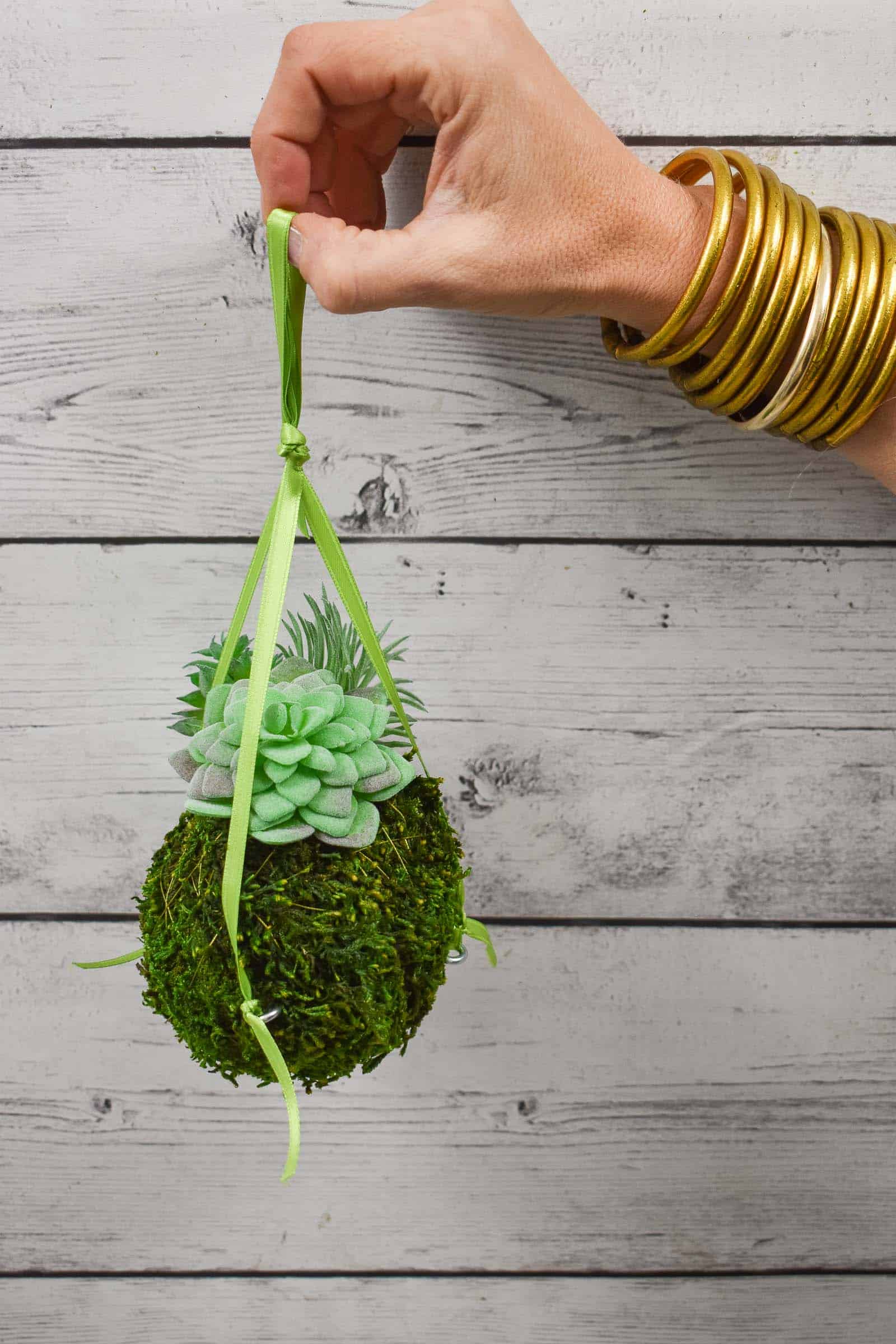 moss ball with succulents